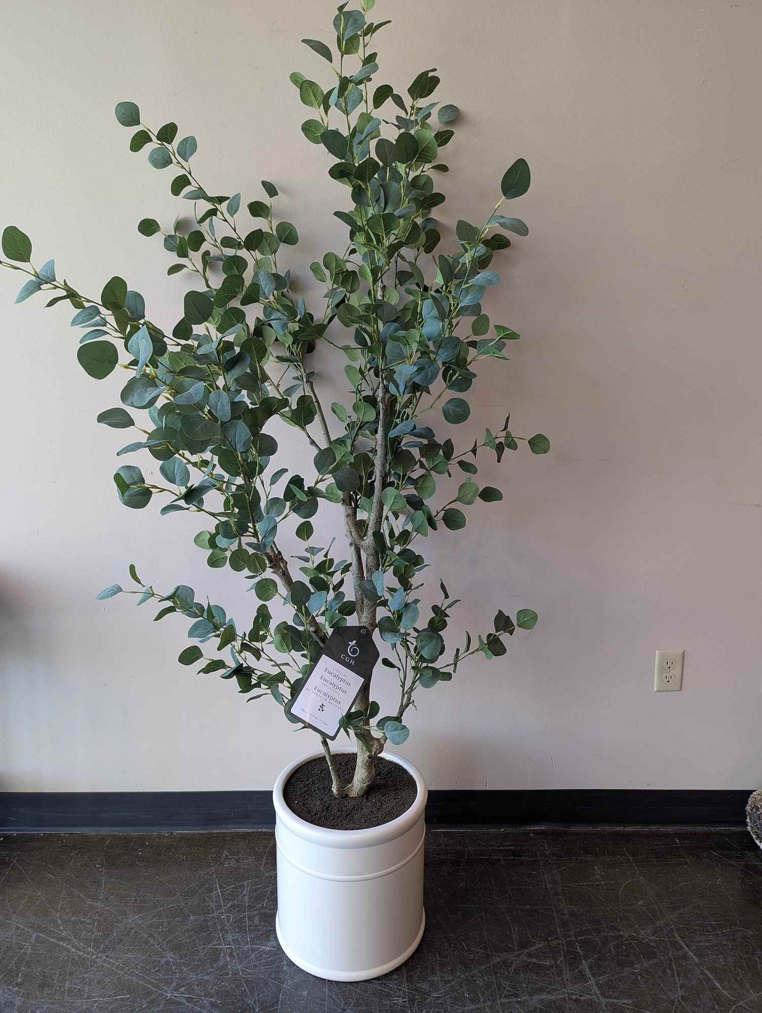 CGH. Faux Eucalyptus Tree in White Ribbed Planter