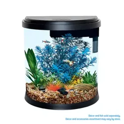 Top Fin 4 Gallon Aquarium Tank