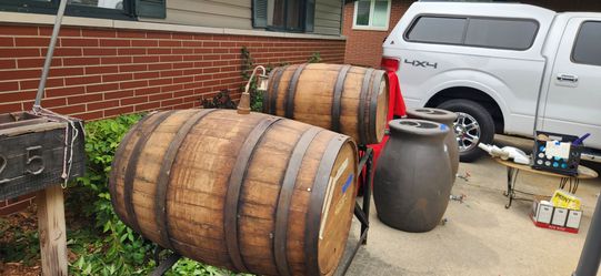 Oak wine barrels 100 years old