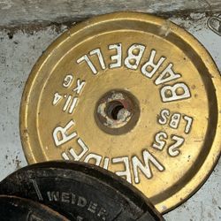 Weights Gym 25