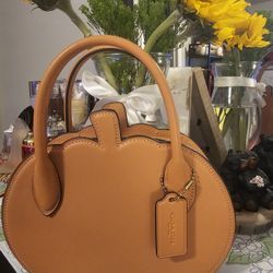 Coach PUMPKIN BAG IN Faded ORANGE 