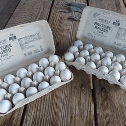 Cage Free Eggs