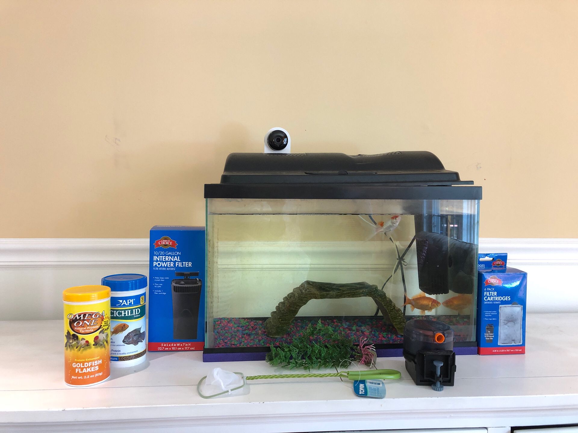 Aquarium/gold fish tank