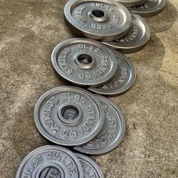 Standard Barbell Olympic Weight Set 