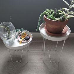 White plant stand, indoor/outdoor