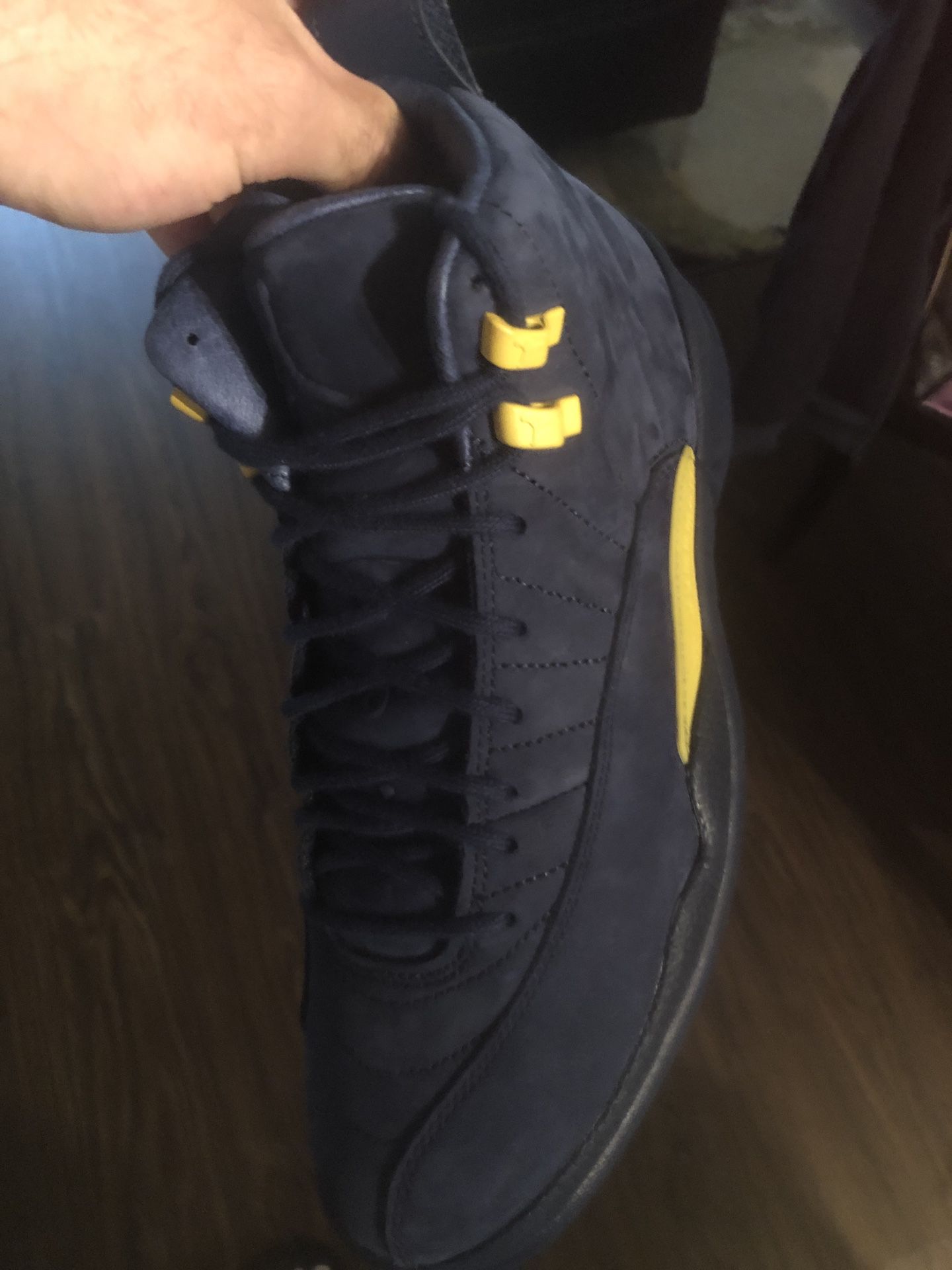 Retro 12 Michigan’s size 8 brand new ds never worn og all
