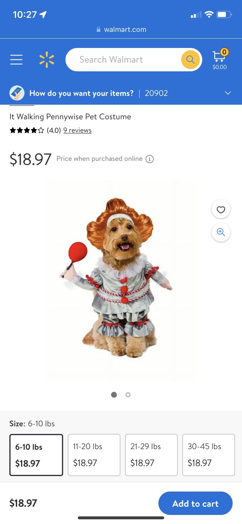 Pet Costume