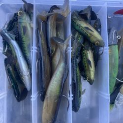 Minnow  And Bass Plastic Soft Baits 