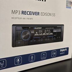 Blaupunkt  Bluetooth  Car Stereo