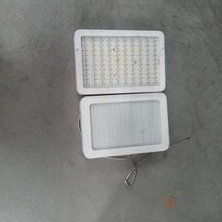Grow Lights
