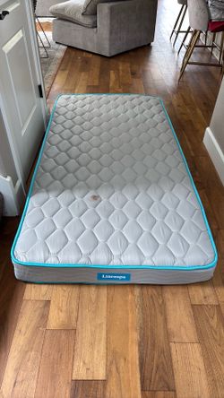 Free twin mattress