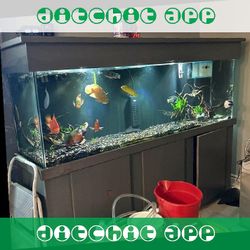 High-Quality Aquarium System - Premium Standard Choice goal coach