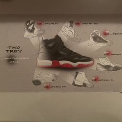 Jumpman Two Trey Size 11 White/Black