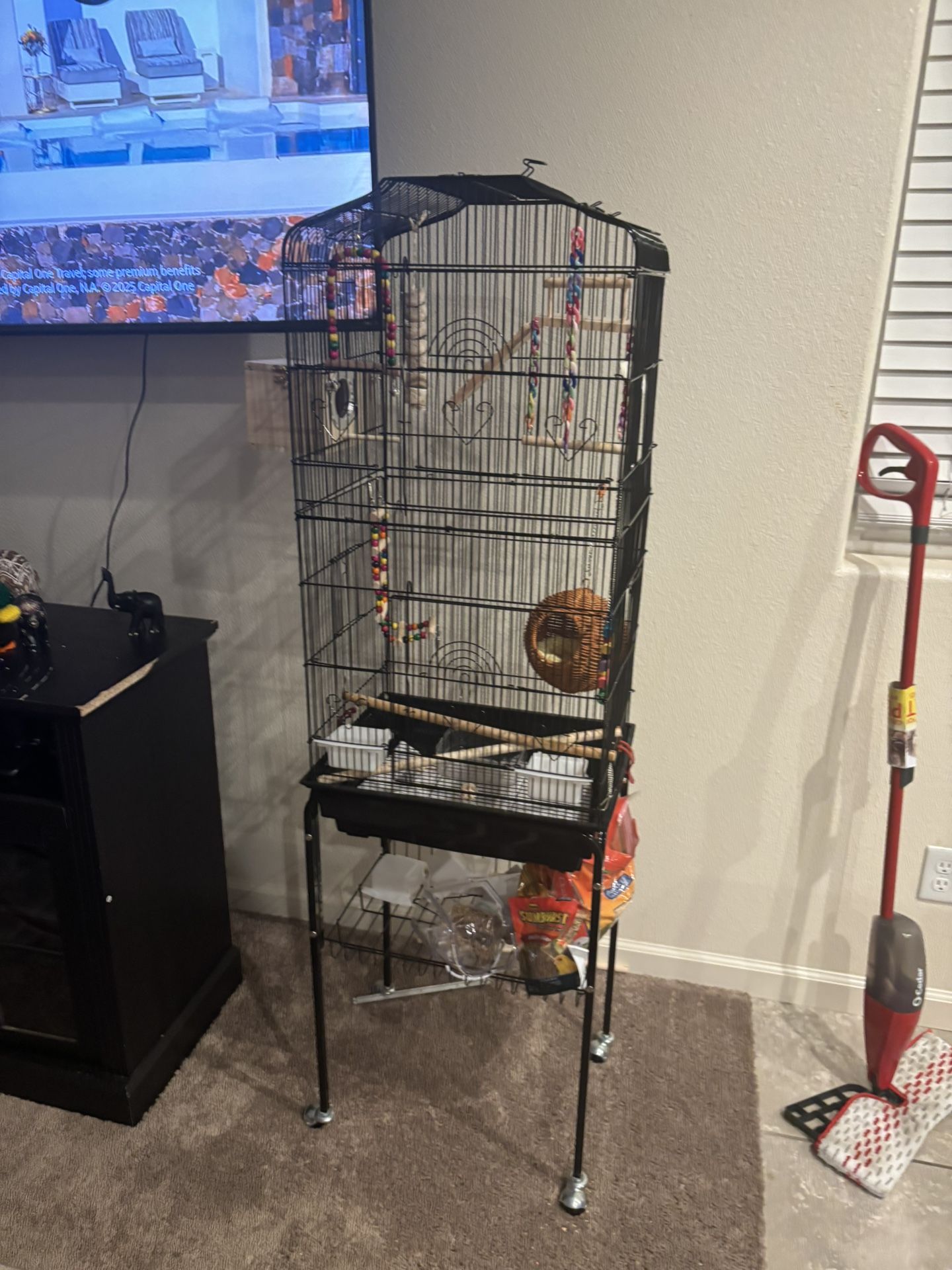 Bird Cage For Sale