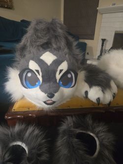 Furry Fox cat Mascot Halloween Costume Cosplay