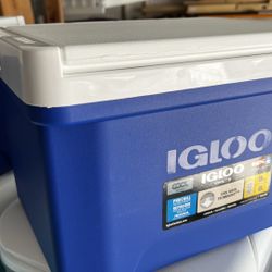 NEW Igloo Cool 9 Blue Cooler