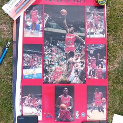 Vintage rookie Jordan poster
