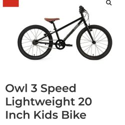 Clearly Gecko Kids Bikes