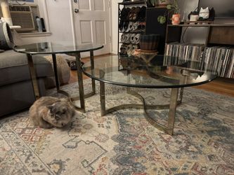 Set Of Coffee Tables (2)