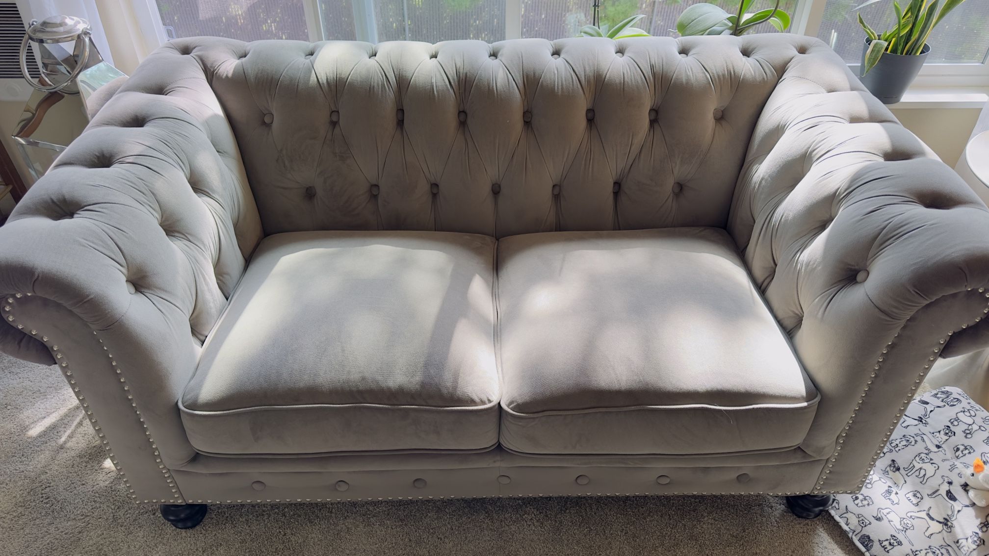 Velvet Couch