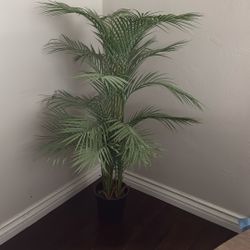 Fake Palm Tree Plant 