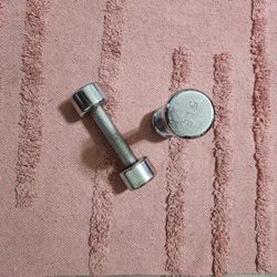 5 Lb Dumbbells 