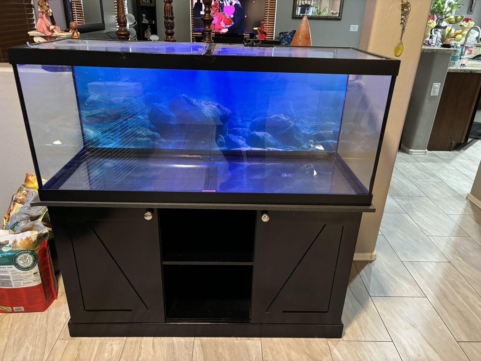 75 Gallon Aquarium With Fx6 Filter System 