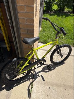 Team Murray BMX Bike