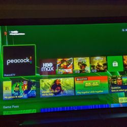 Panasonic 55 Inch Monitor 