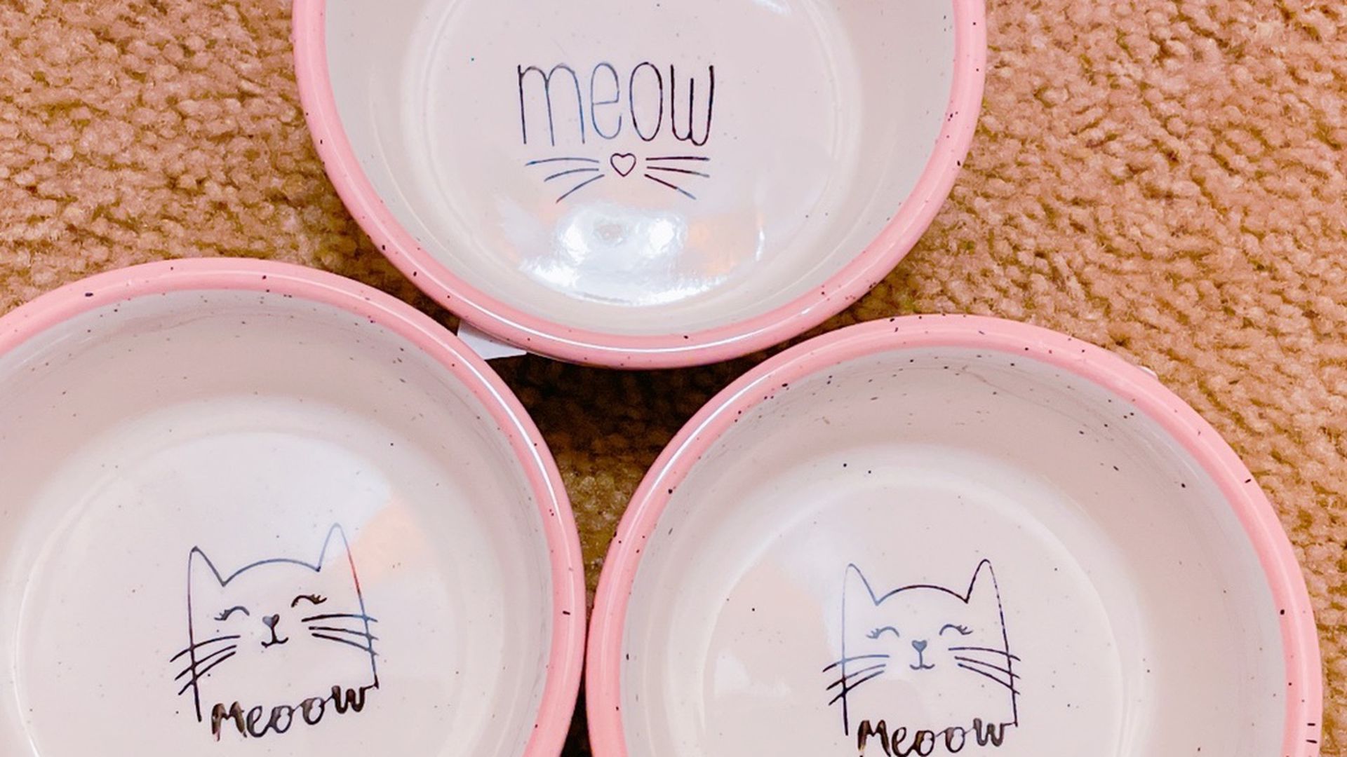 Cat (pet) food bowls set of 3