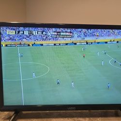 Vizio 24"