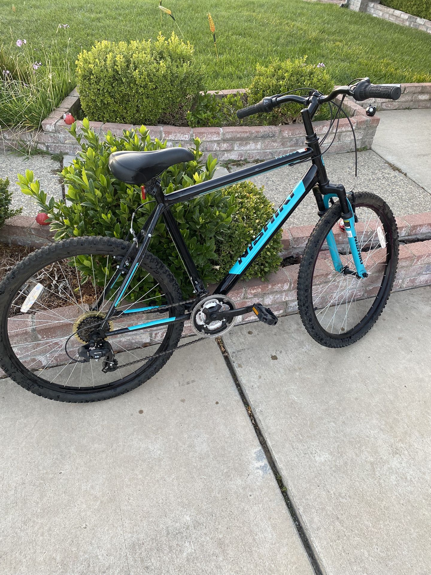Mountain Nishiki bike