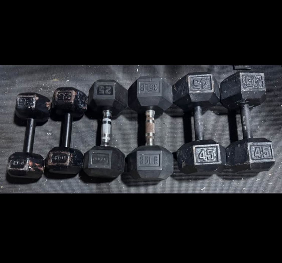 Assorted Dumbbells - Two 45’s, Three 25’s, One 30.