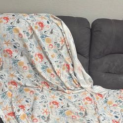 Couch For 120 Or 150 