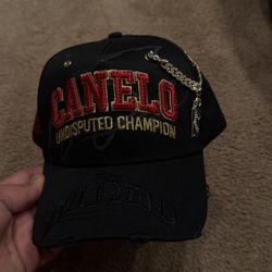 Dandy x Canelo 