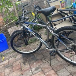 Schwinn Bike