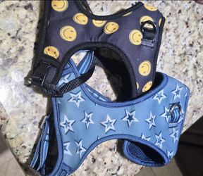 Dog Harness