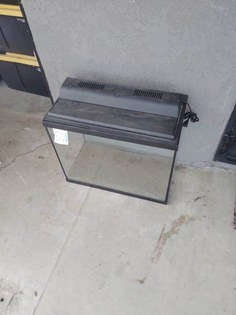 Fish Tank And Toaster