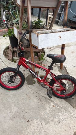 Kids 14 in bike