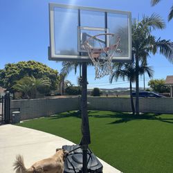 Full Size Adjustable Basket Hoop