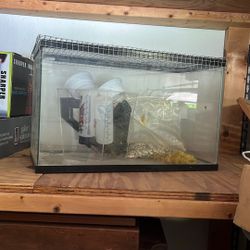 Fish Tank For Reptiles Or Gerbil 