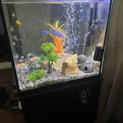 Complete 65 Gallon Cube Fish Tank 