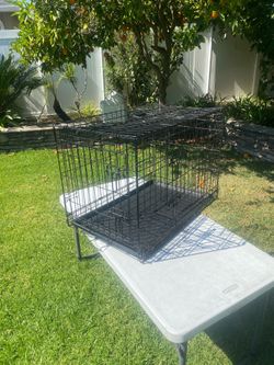 Like New 30” Folding Pet Crate