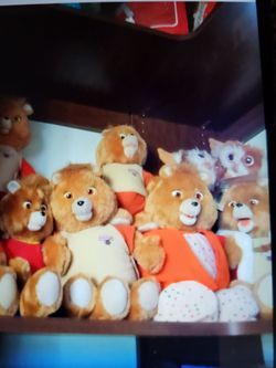 Teddy reskins, I have a whole lot of them $,50 each, or just make me and offer, they're the original ones, the largest ones back from the 60s.