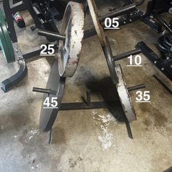 Gym Weight Rack | Plate Rack | Weight Plate Tree For 2 Inch Olympic Plates 