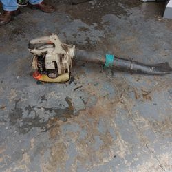 Echo Leaf Blower