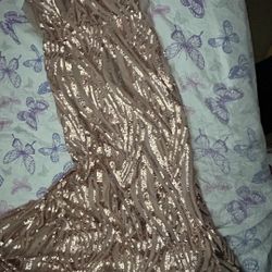 Pink Champagne Formal Dress 