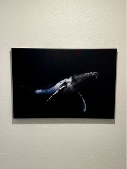 Humpback Whale Photo on Canvas