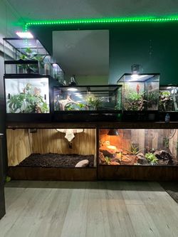 Reptile Terrarium Enclosure