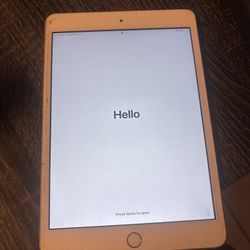 Ipad Mini 3 